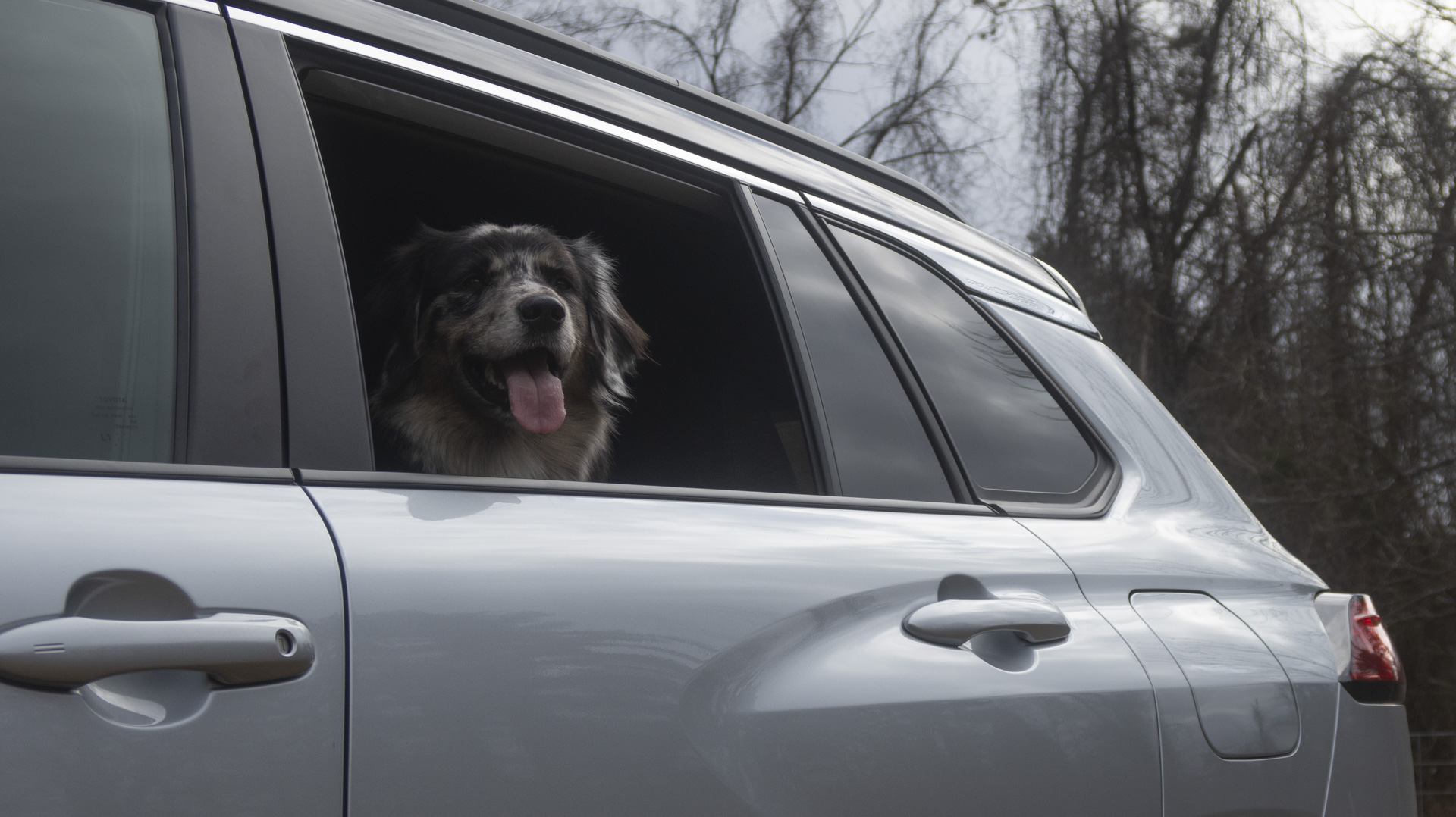 Spacious and modern interior of the 2025 Toyota Corolla Cross, highlighting comfort and technology.