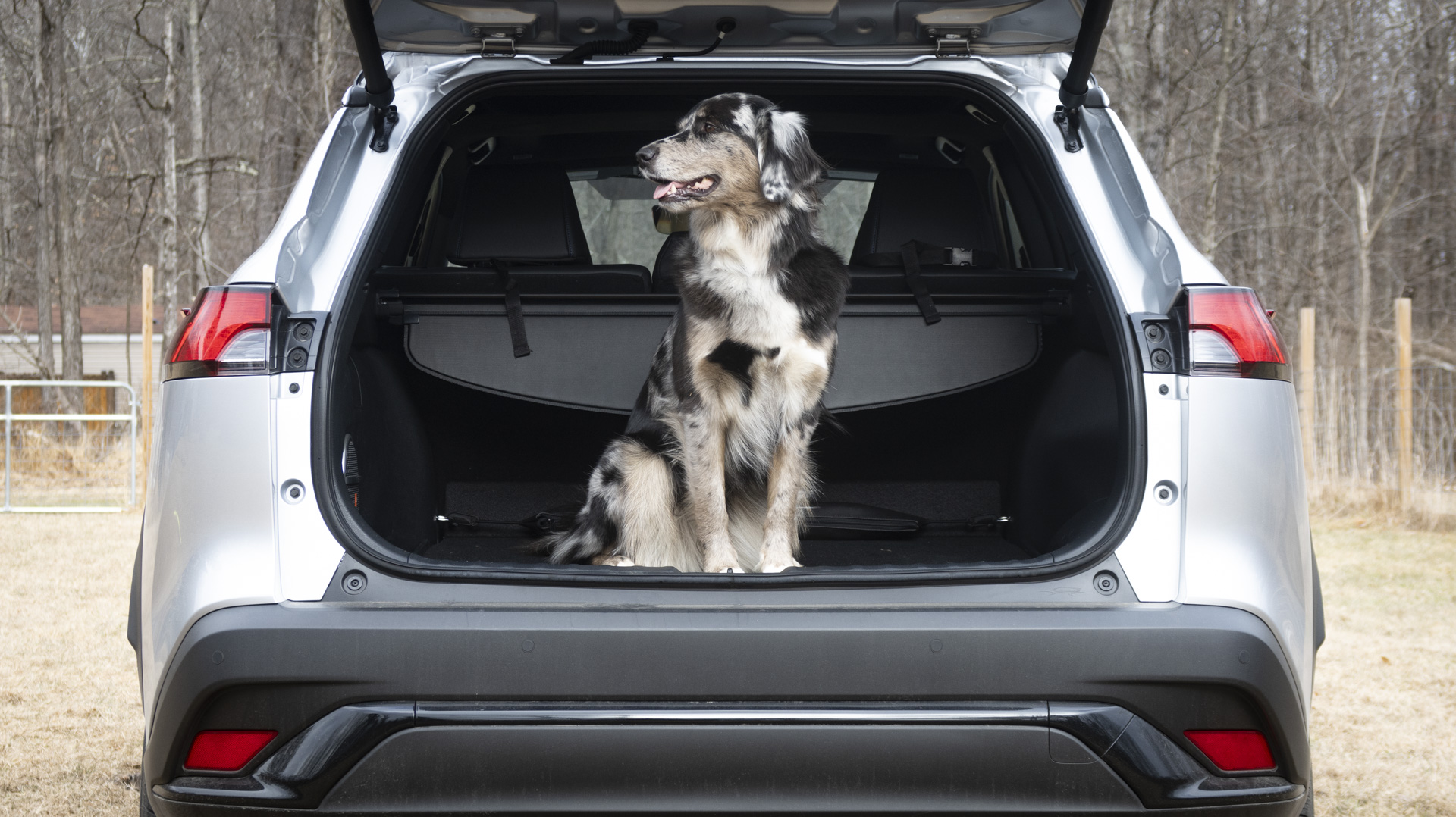 Rear seat area of the Toyota Corolla Cross, demonstrating ample space for passengers and pets.