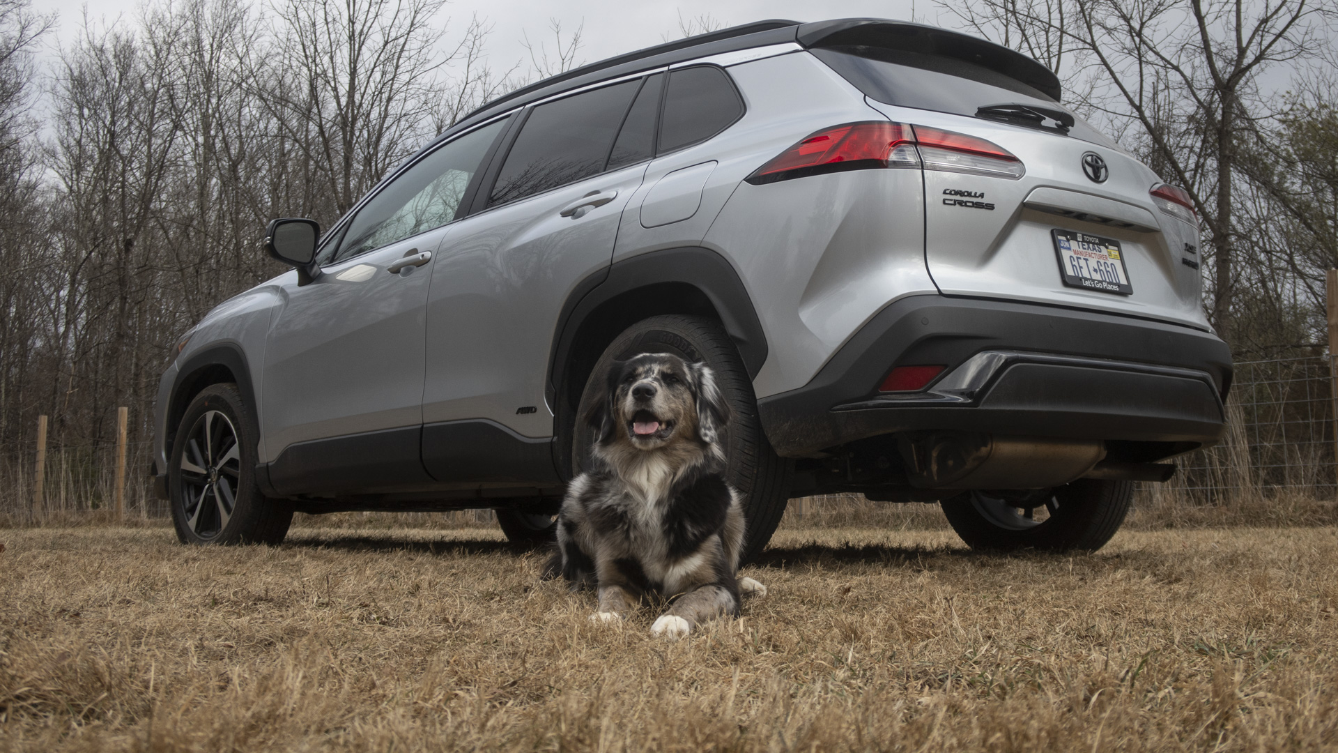 Easy rear window access in the Toyota Corolla Cross, perfect for pets to enjoy the view.