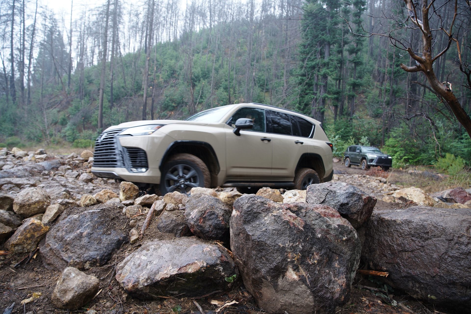 Hybrid badge on the 2025 Lexus LX 700h signifying its eco-friendly innovation