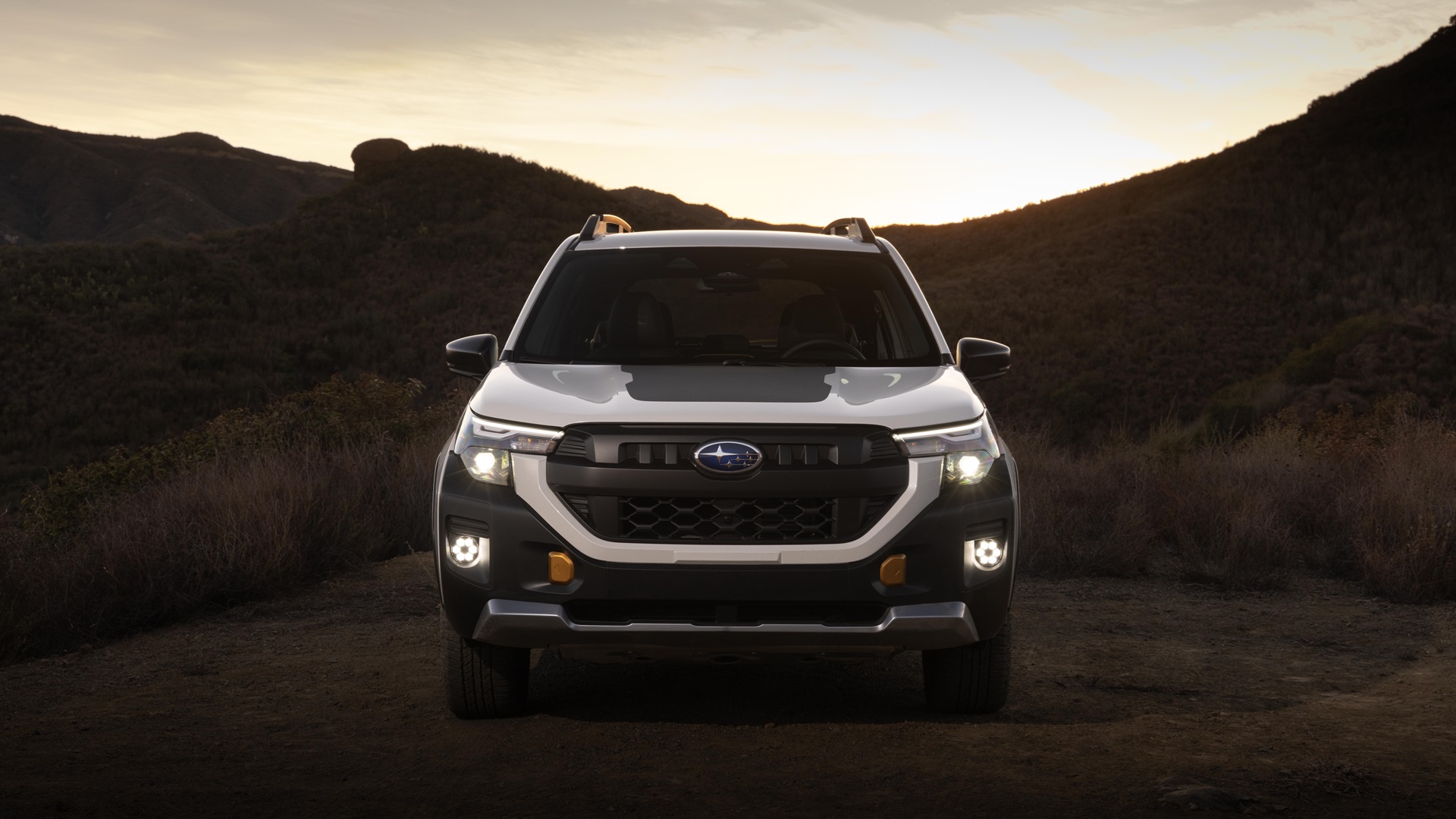 Roof rails of the 2026 Subaru Forester Wilderness, highlighting its 800-pound static load capacity.