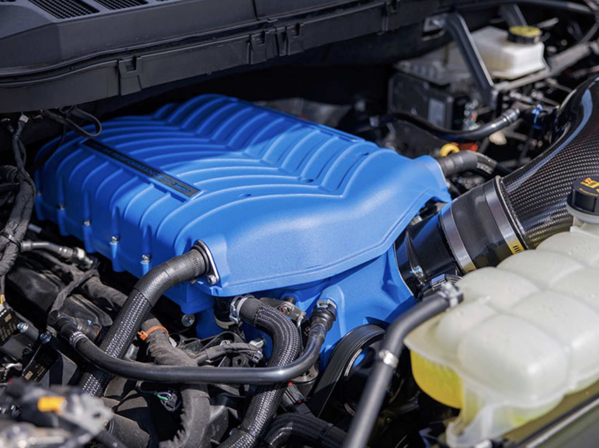 carskingdom1 2026 Shelby F-150 Super Snake SuperCrew: Specs, Price, and Production Details 2026 Shelby F-150 Super Snake SuperCrew: Specs, Price, and Production Details